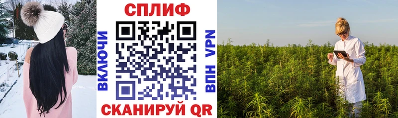 как найти наркотики  Тотьма  Шишки марихуана тримм 